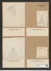 Coscinodiscus subangulauts Grun. (de-Toni-Nr.: Genus 202, Species 4980) Zeichnungen Sammlung Grunow Nr. 8592 (NHMW-BOT-W0378247)